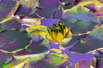 F 029E